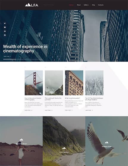 Cinematography WordPress Theme