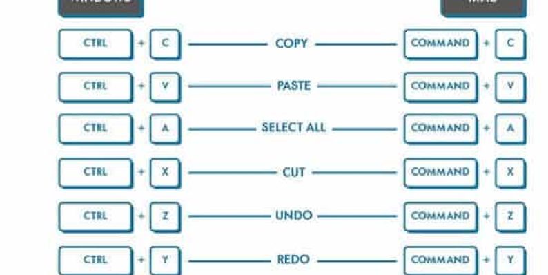Best WordPress Cheat Sheet For Designers, Developers & Users