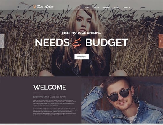 30+ Design & Photography WordPress Themes for 2016