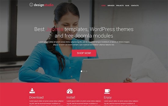 30+ Design & Photography WordPress Themes for 2016 