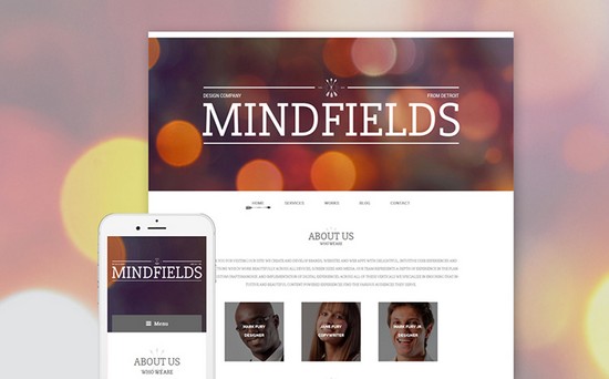 30+ Design & Photography WordPress Themes for 2016 