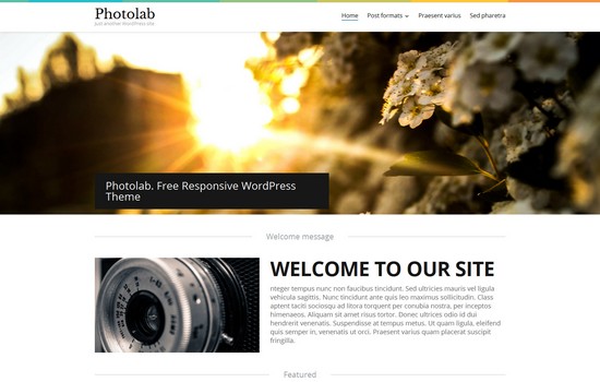 What Makes a WordPress Portfolio Website Great?