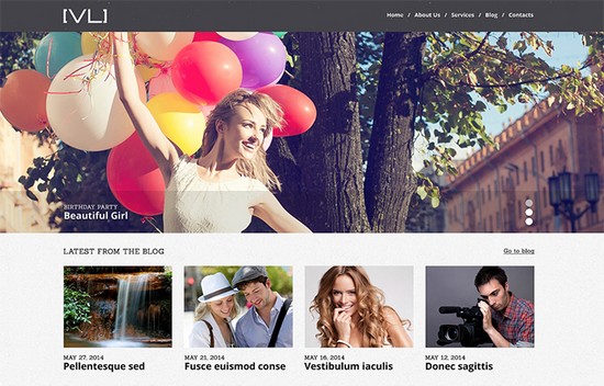 30+ Design & Photography WordPress Themes for 2016