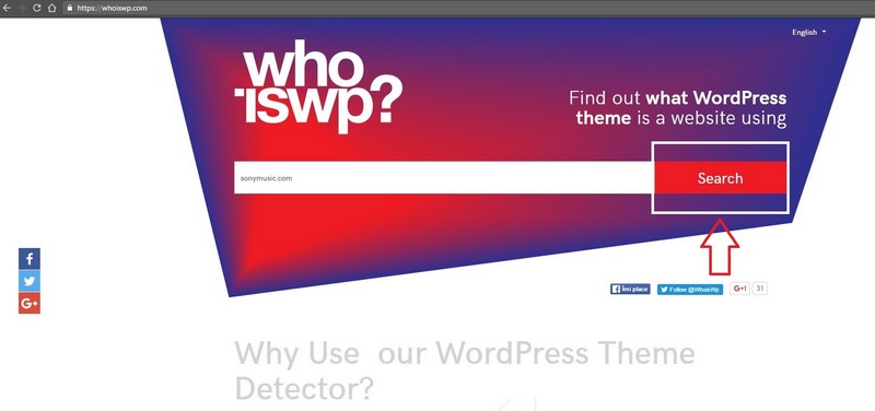 5 Steps to Learn to Use a WordPress Theme Detector