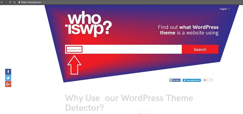 5 Steps to Learn to Use a WordPress Theme Detector