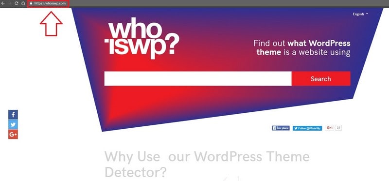 5 Steps to Learn to Use a WordPress Theme Detector