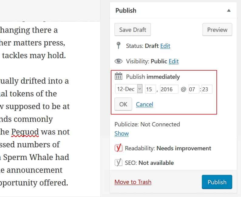 A Beginner’s Guide on Scheduling Your WordPress Posts