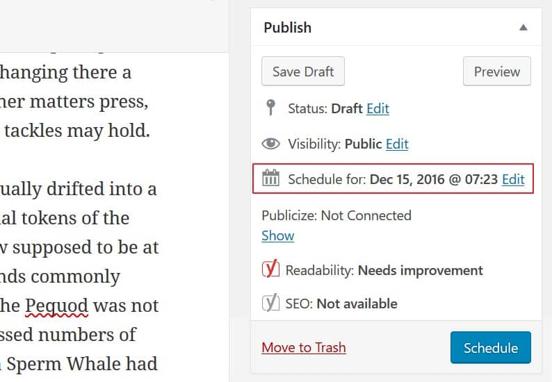 A Beginner’s Guide on Scheduling Your WordPress Posts