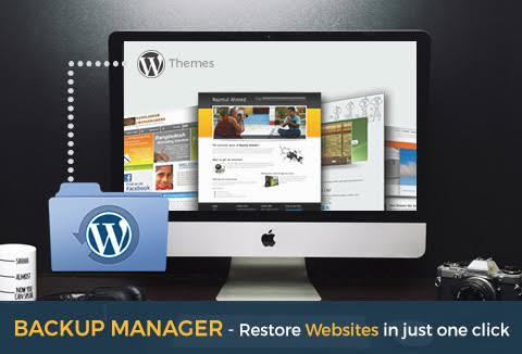 An Ultimate Website Backup Manager WordPress Plugin