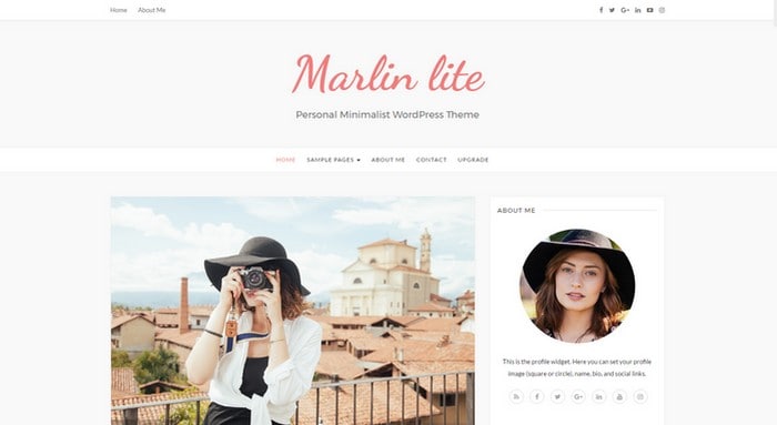 New Free WordPress Themes March 2017 Edition