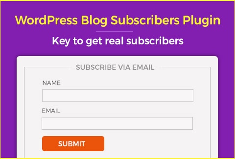 Blog Subscriber WordPress Plugin – Your Key to Real Subscribers