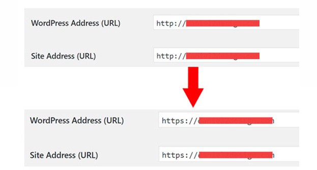 How to Updating URLs