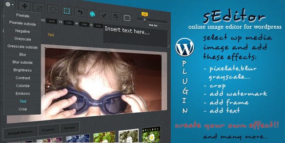 sEditor - WordPress image editor