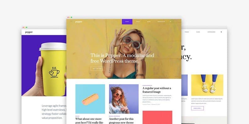 Pepper: An Interesting Free Modular WordPress Theme