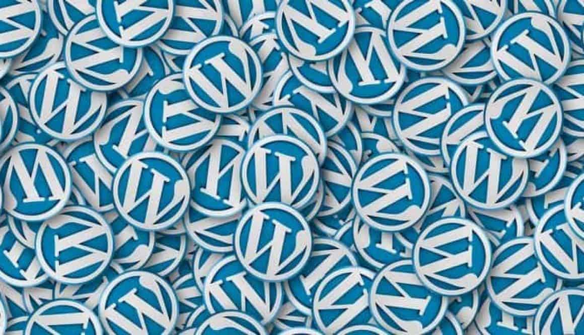 Multiple WordPress Websites