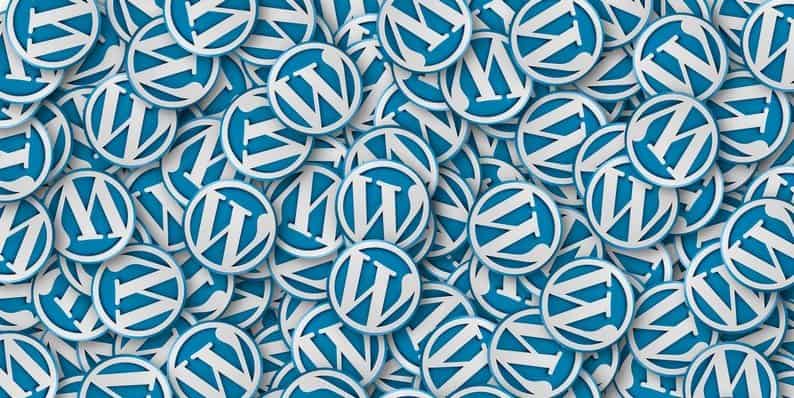 Multiple WordPress Websites