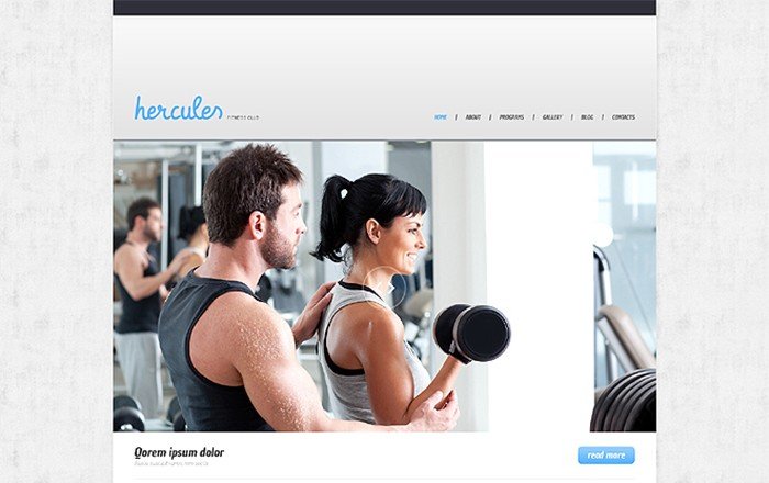 Hercules Responsive WordPress Theme