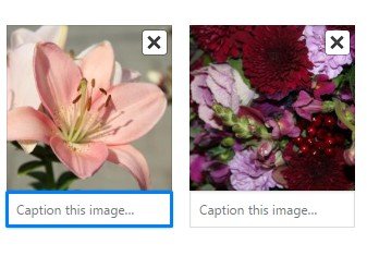 uploading images to the media library