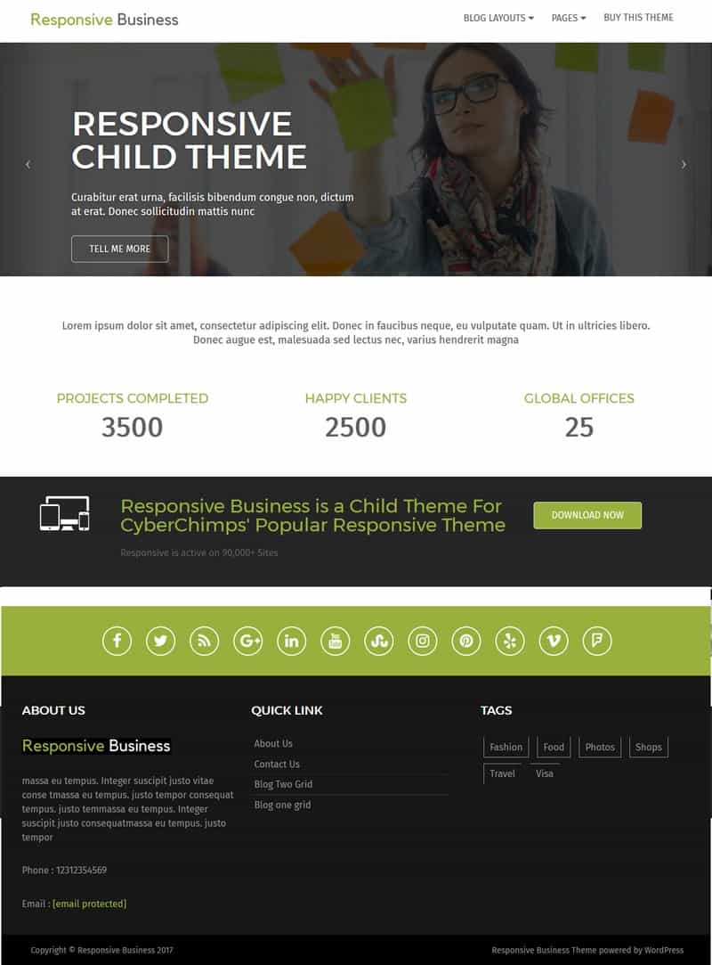 Responsive Business - Professional WordPress theme Demo