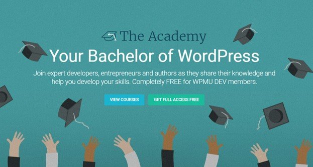 Your Bachelor of WordPress
