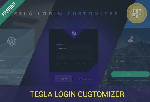 Tesla Login Customizer