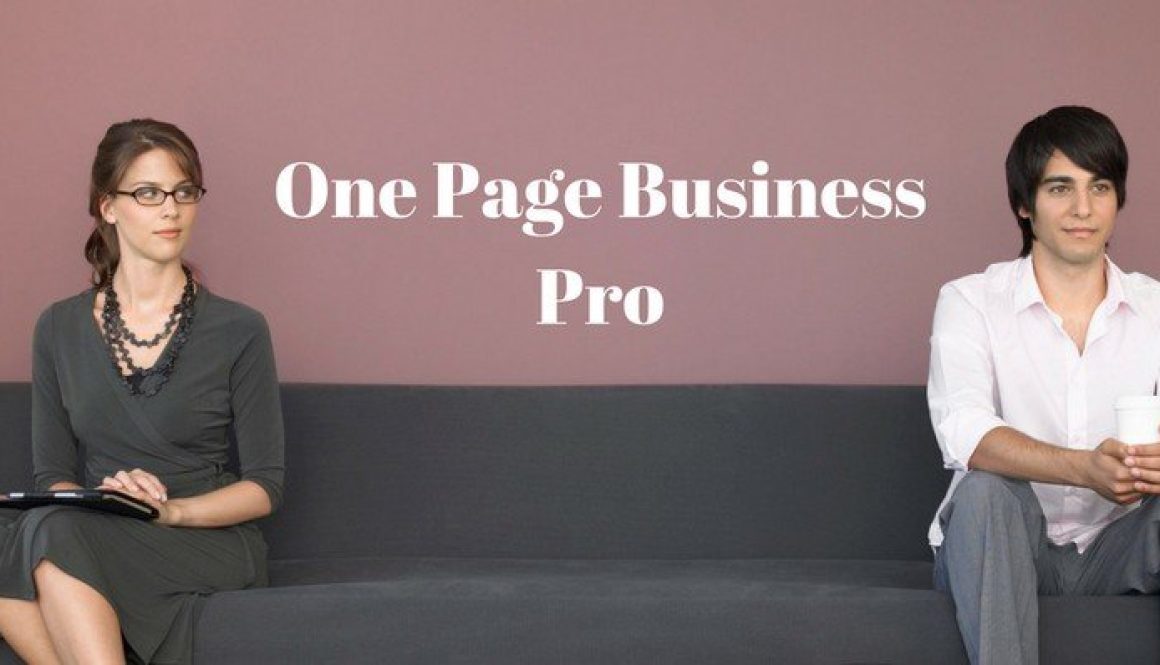One Page Business Pro WordPress Theme