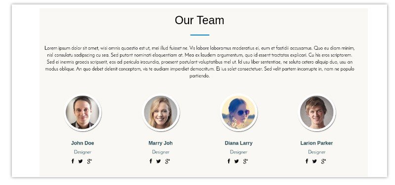 You can share the names of team members and their responsibilities.