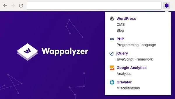 Wappalyzer is one of the oldest and therefore time-proven solutions