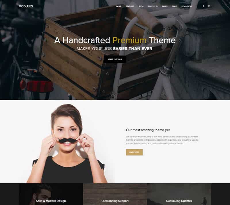 MODULES is one of Artisan Themes most intuitive WordPress themes..