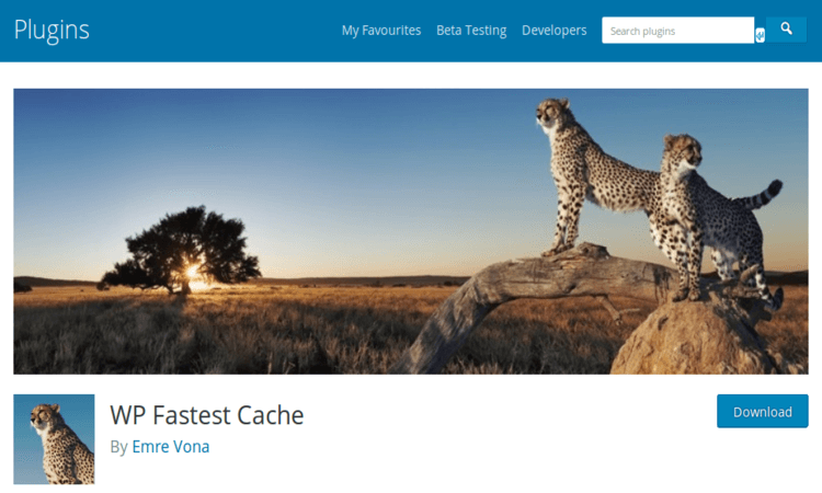 WP Fastest Cache creates static HTML files from your site.