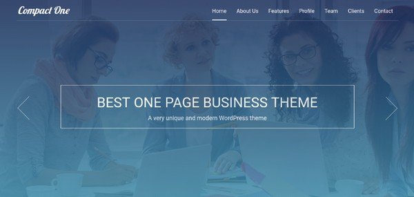 Compact One is a one-page WordPress theme that checks all the right marks. 