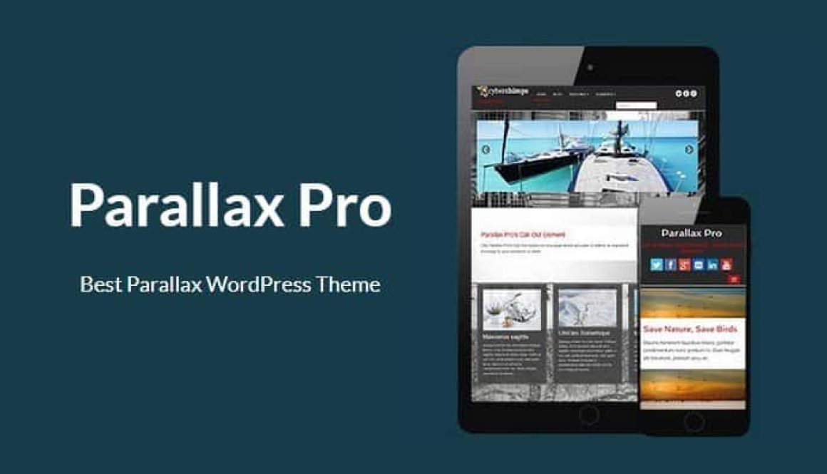 Parallax Pro WordPress Theme