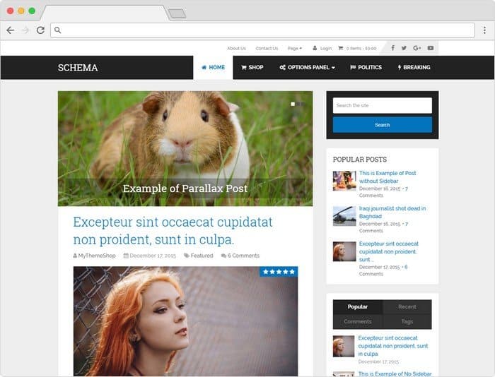 Schema is a lightning fast theme for WordPress blogs.