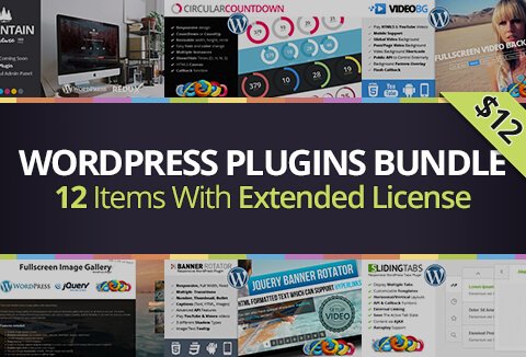 12 Best WordPress Plugins