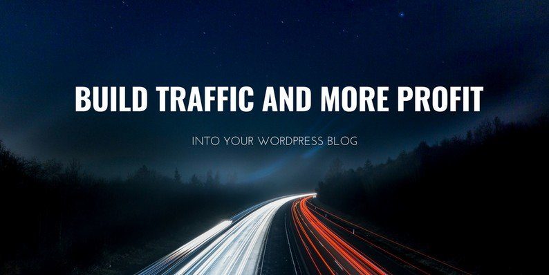 Build Traffic and More Profit