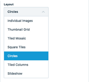 You have a different options when it comes to how your image gallery is displayed.