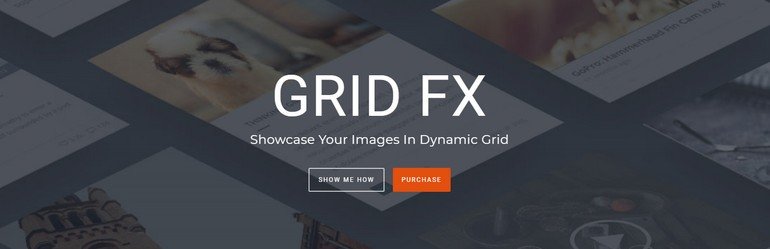 Grid FX offers incredible customization with 80 unique styling options