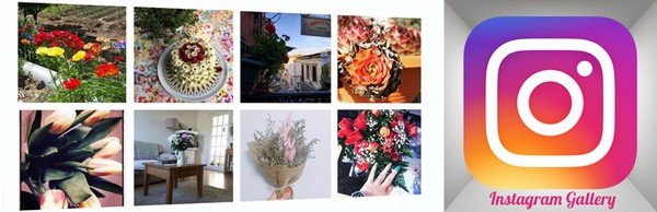 With Instagram Gallery, you can publicize Instagram photos on your website.