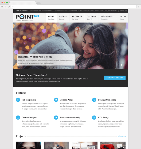 Point Pro is a very popular WordPress theme with a ton of premium features..