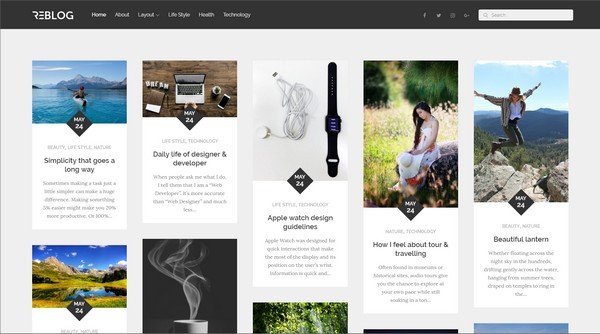 Reblog is a attractive masonry Pinterest WordPress theme.