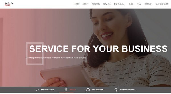 Agency Elite is a WordPress theme with a professional layout and smooth scrolling.