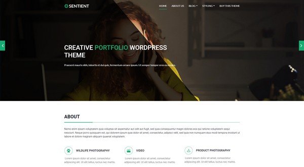 Sentient is an elegant WordPress theme perfect to showcasing your portfolio. 