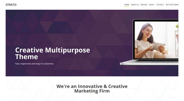 Strato is a multipurpose WordPress theme with professional layout.