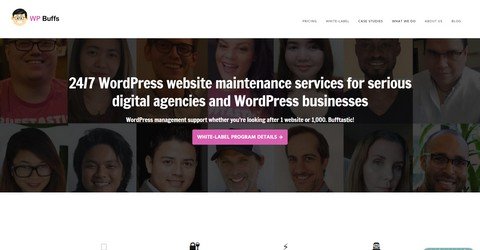 WP Buffs WordPress Care Packages