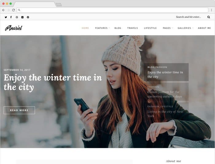 Anariel is a modern and elegant WordPress Fashion theme. 