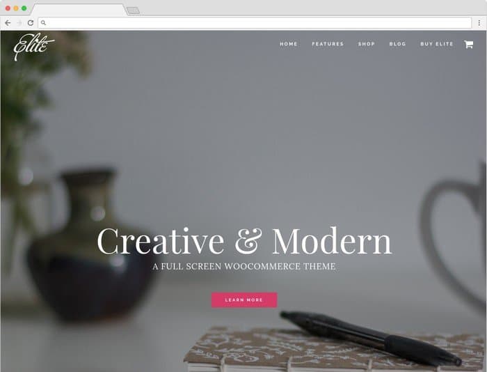 Elite is a WordPress theme for businesses and organizations.