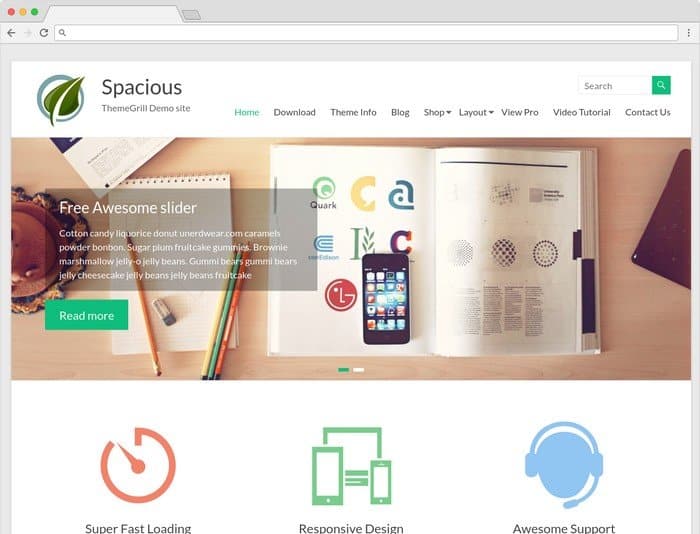 Spacious is a WordPress theme that is perfect for any business website. 