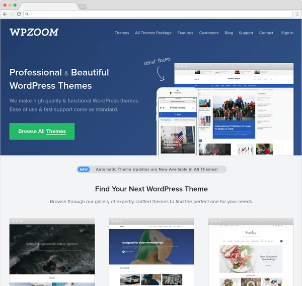 WP Zoom is another of the top WordPress premium theme providers.