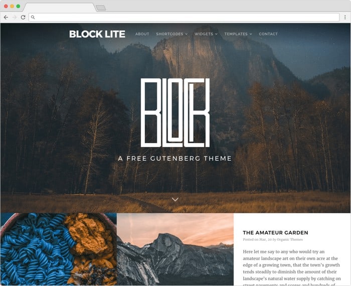 Block Lite is a free Gutenberg theme with a attractive design.