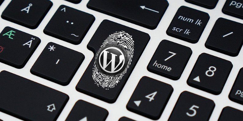 Securing Your WordPress Site